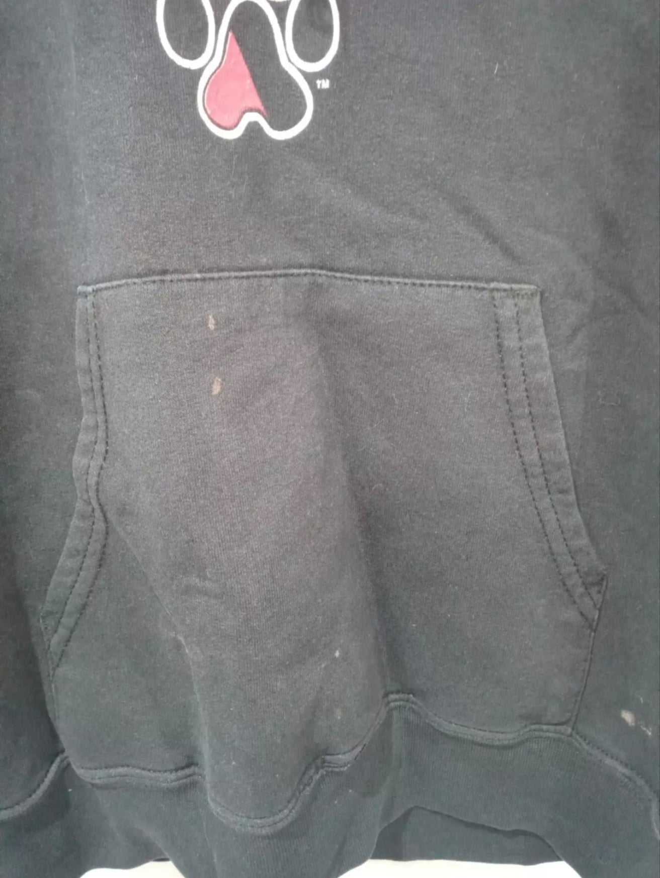 Champion Northeastern University Huskies NCAA pull over hoodie, black, size Small