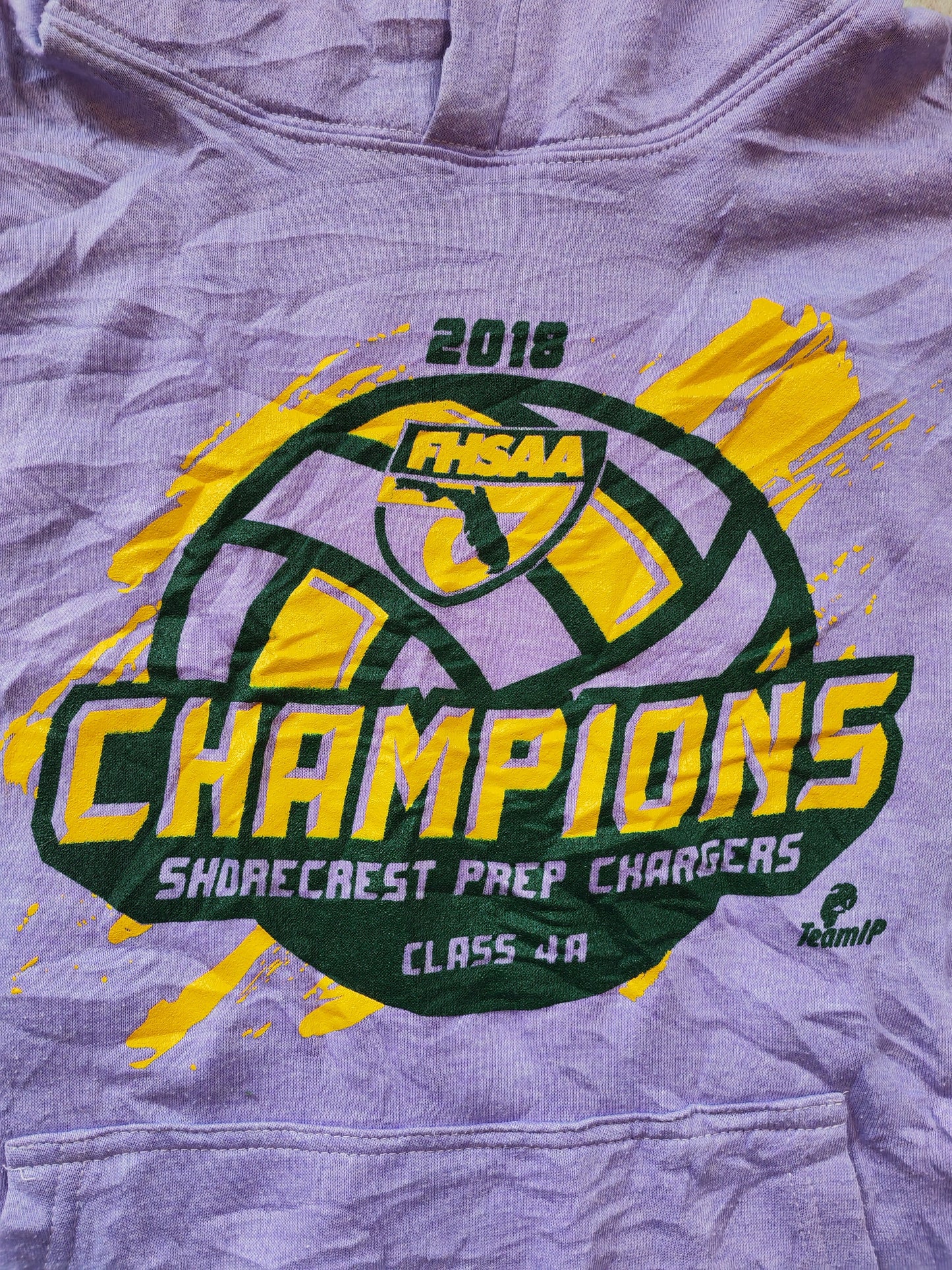 Dynasty Sportswear FHSAA Athletics Champions Pullover Hoodie, Purple, Size Medium