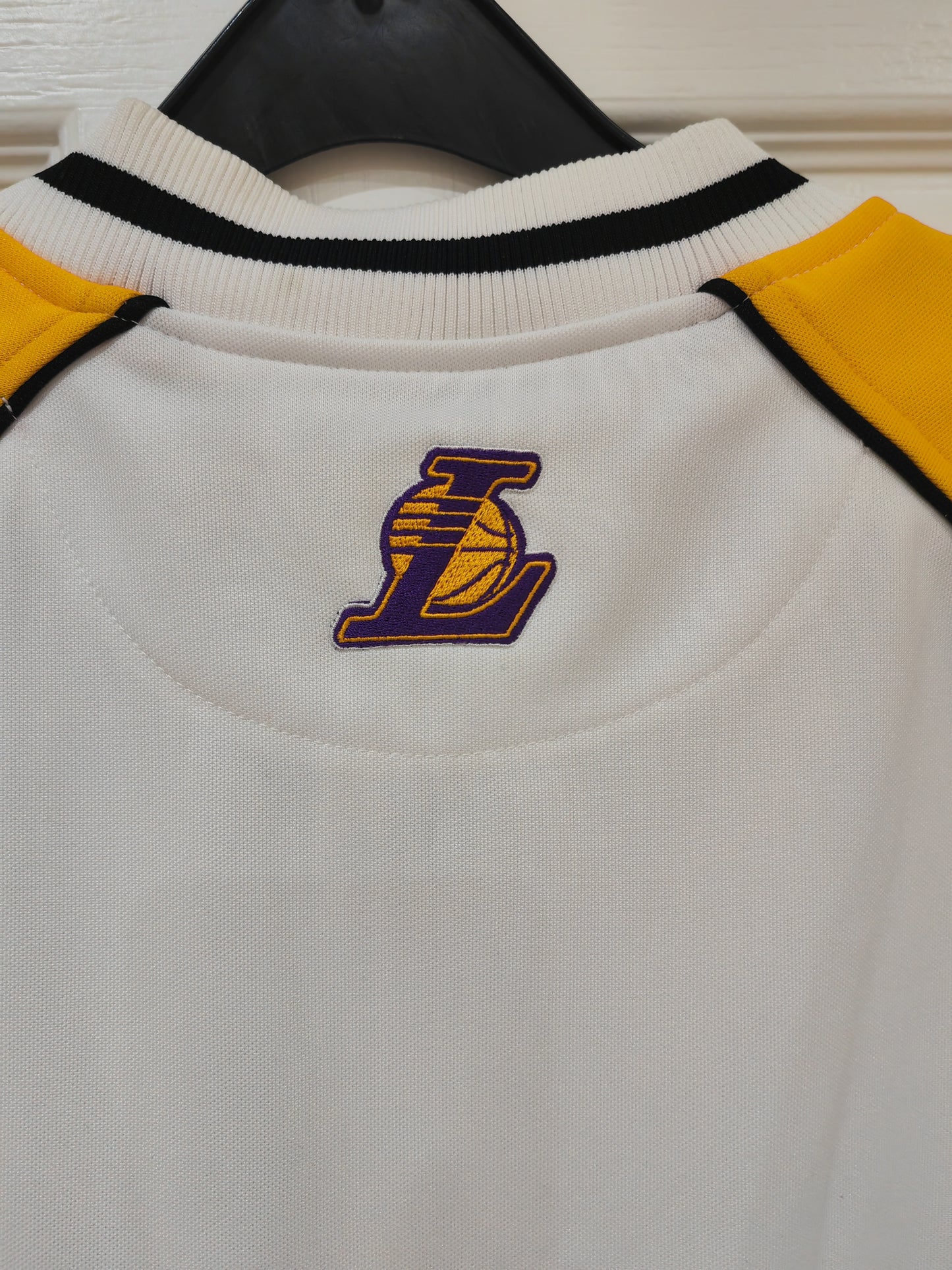 Champion Los Angeles Lakers Snap Warm Up Style Jersey, #16 Gasol, Size Small