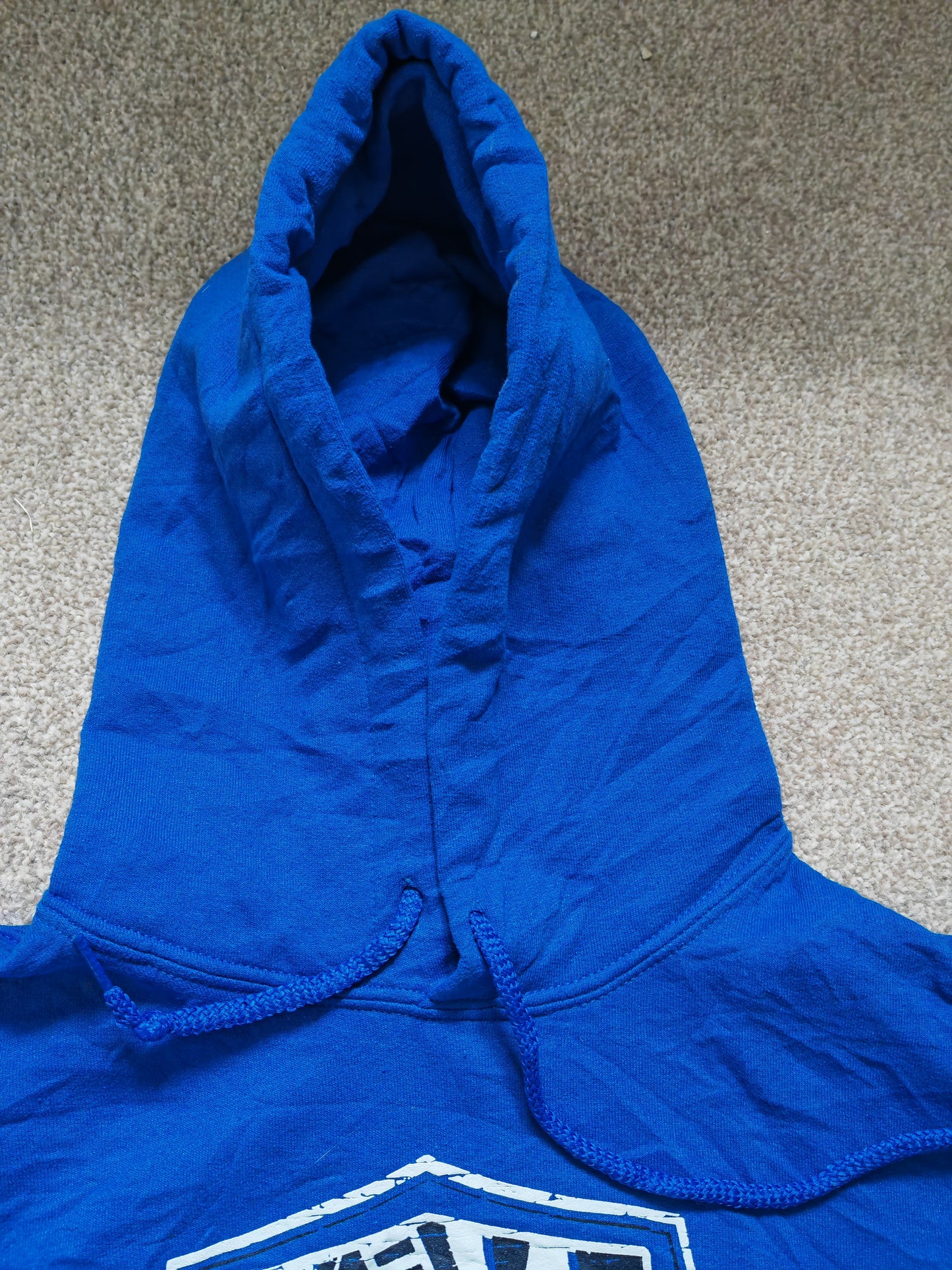 Gildan Miller Middle School Performing Arts Hoodie, Blue, Size Small