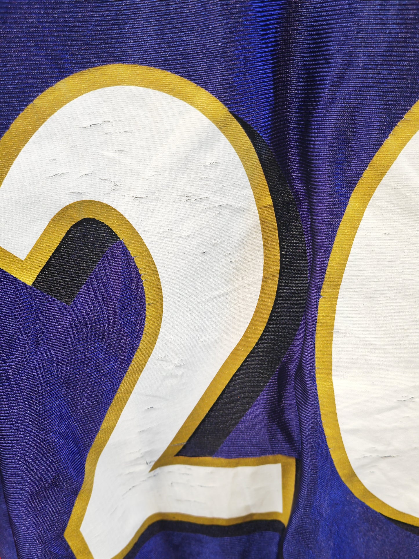NFL Apparel Baltimore Ravens NFL Jersey, #20 Reed, Purple, Size Large