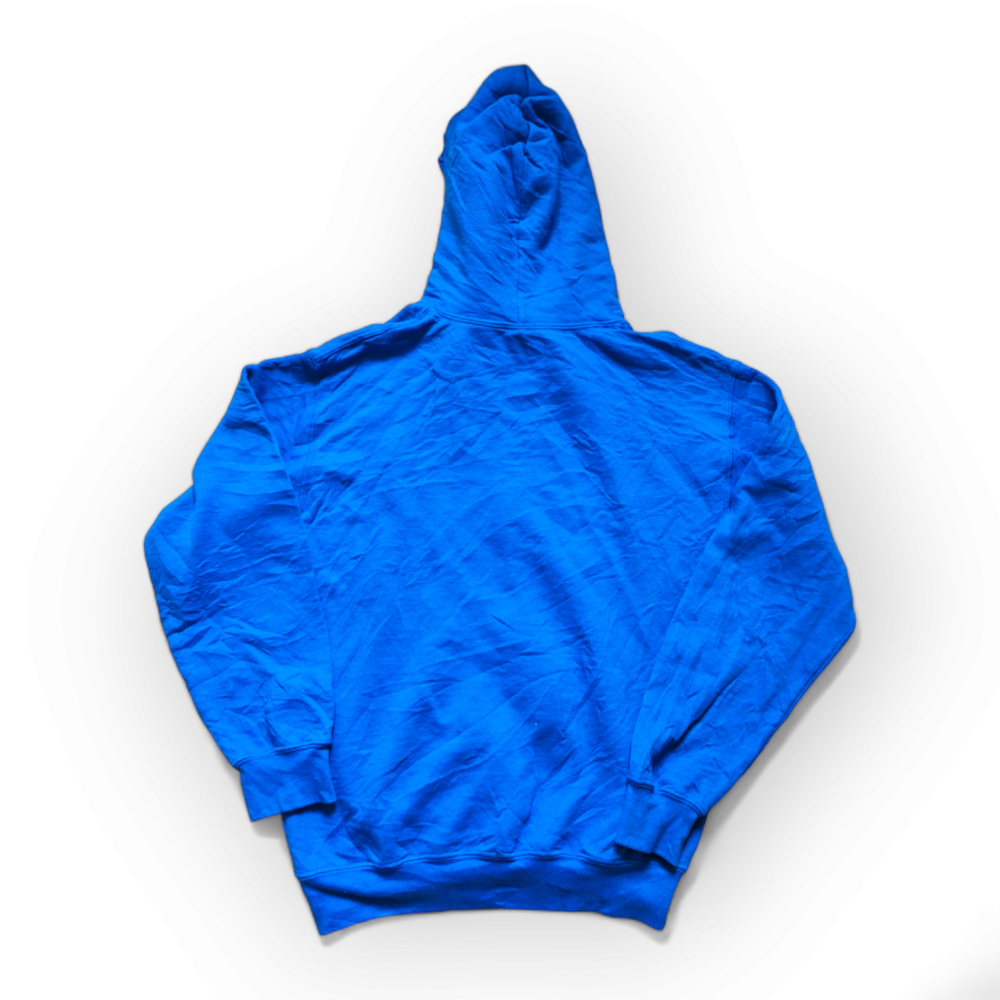 Gildan Miller Middle School Performing Arts Hoodie, Blue, Size Small