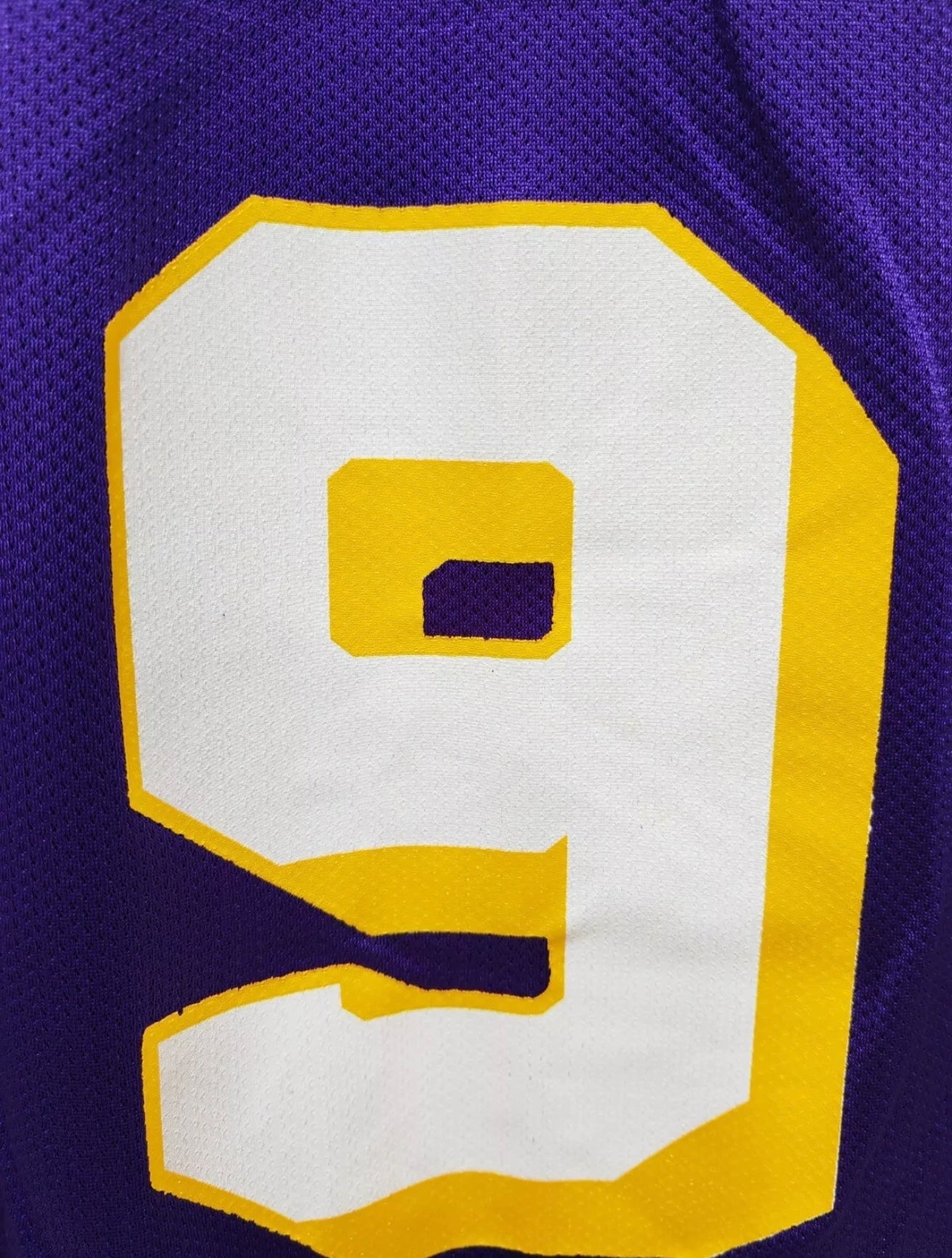 Vintage Champion Los Angeles Lakers NBA Jersey, #9 Van Exel, Purple, Size 36 XS-S