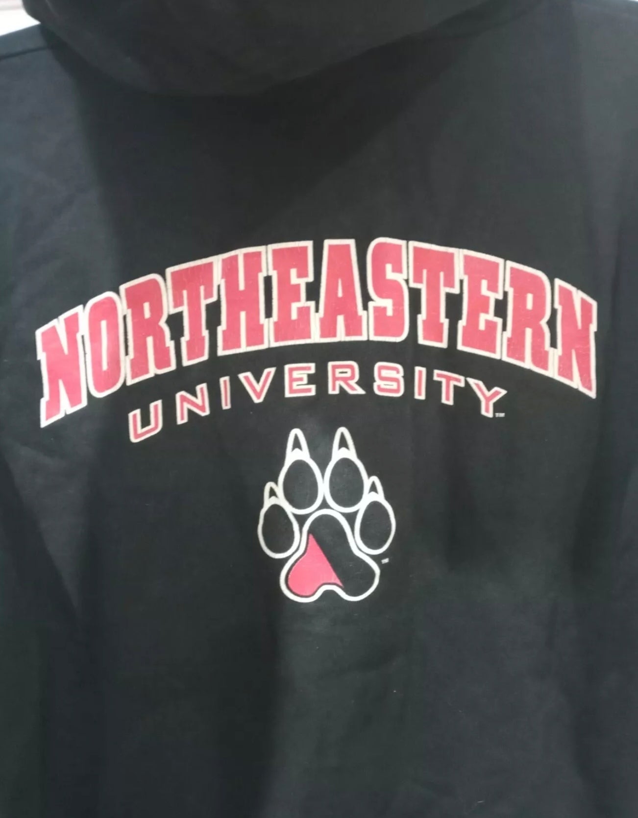 Champion Northeastern University Huskies NCAA pull over hoodie, black, size Small