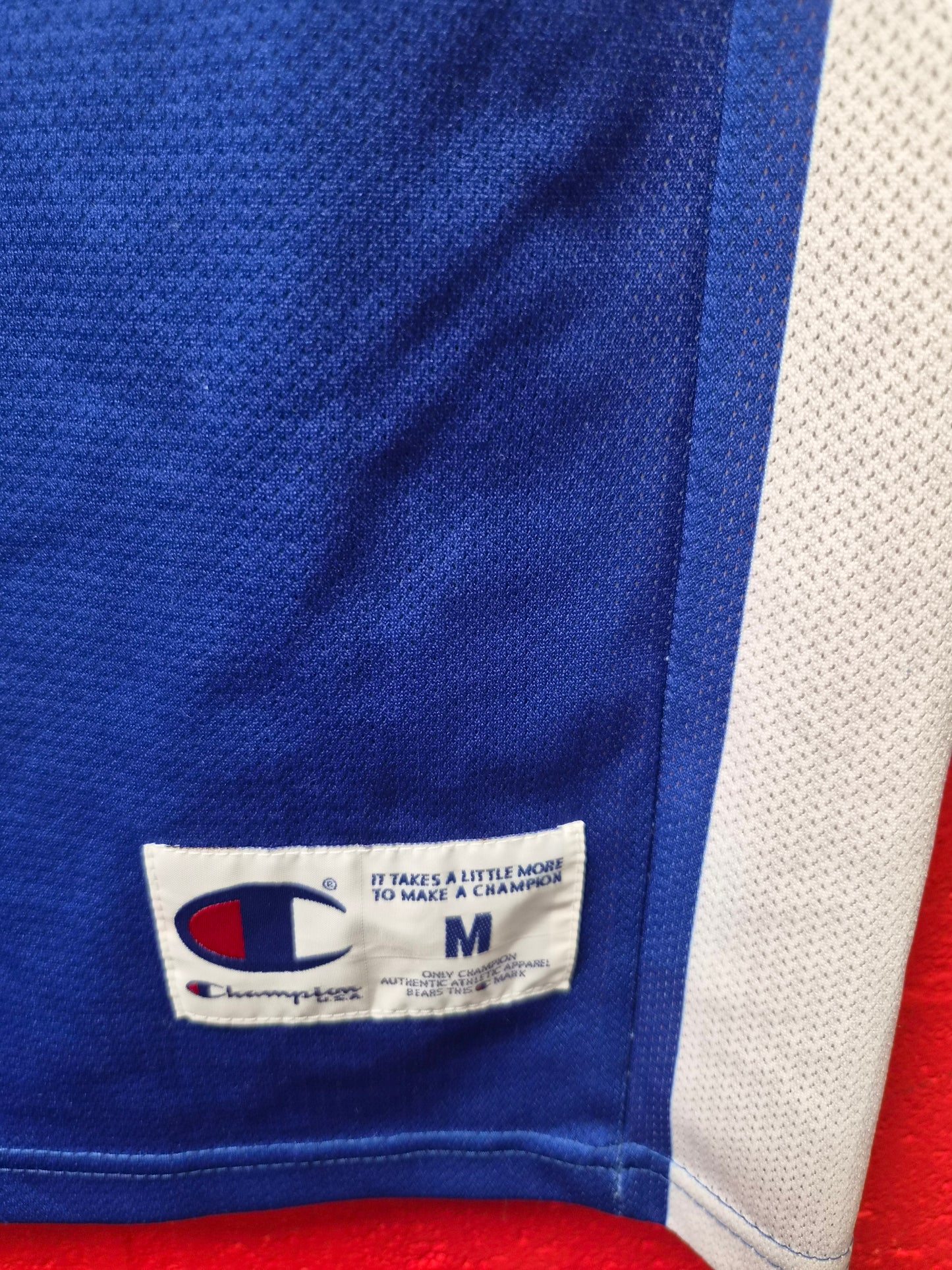 Champion Los Angeles Clippers NBA Jersey, #24 Miller, Blue, Size Medium