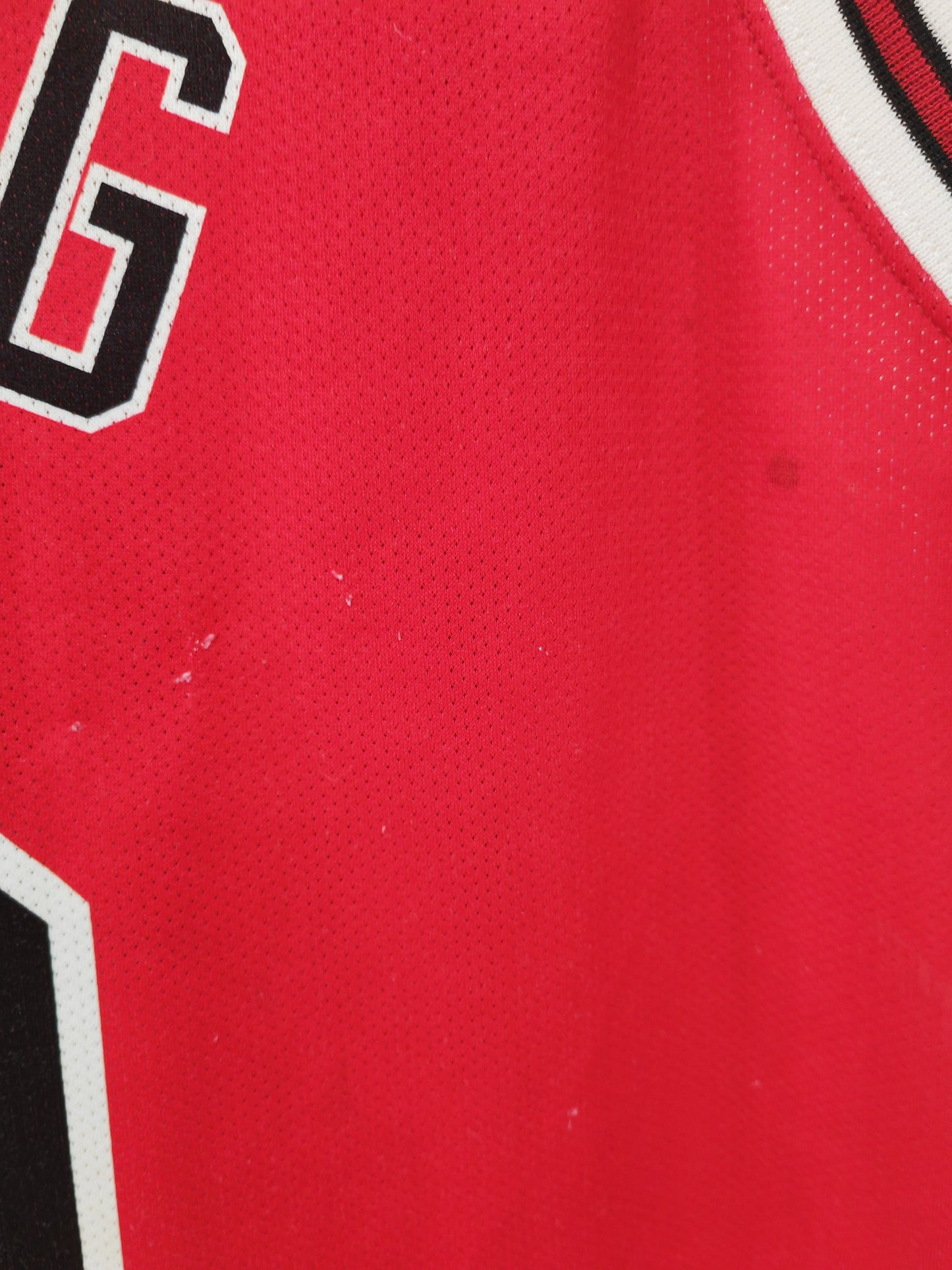 Champion Chicago Bulls NBA Jersey, #9 Deng, Red, Size Large