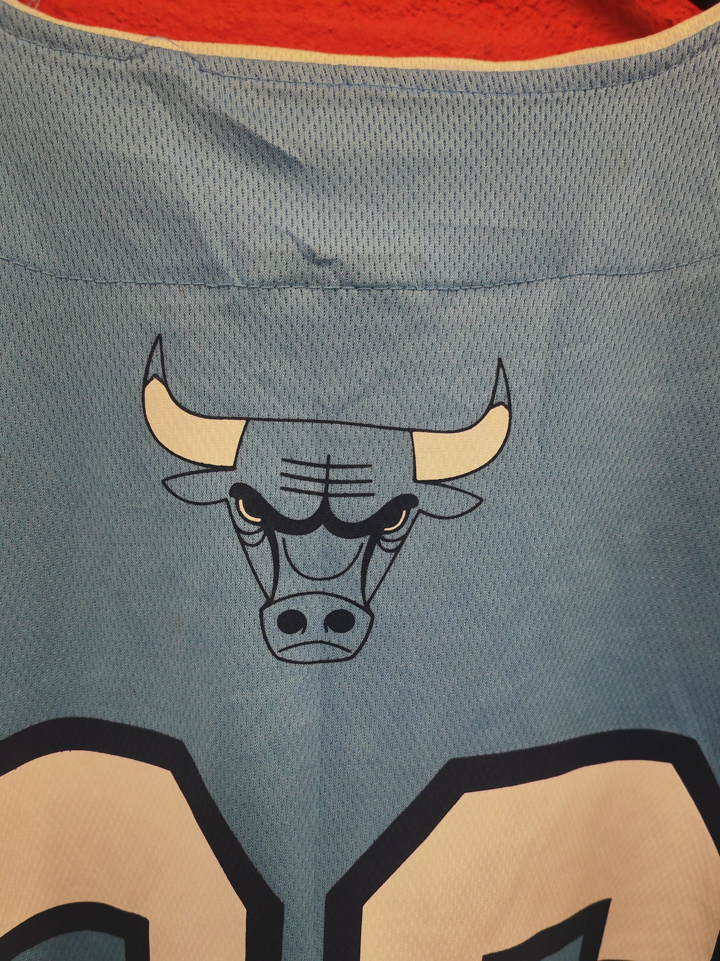 NBA Chicago Bulls Baseball Style T Shirt/Jersey, #66, Blue, Size Medium