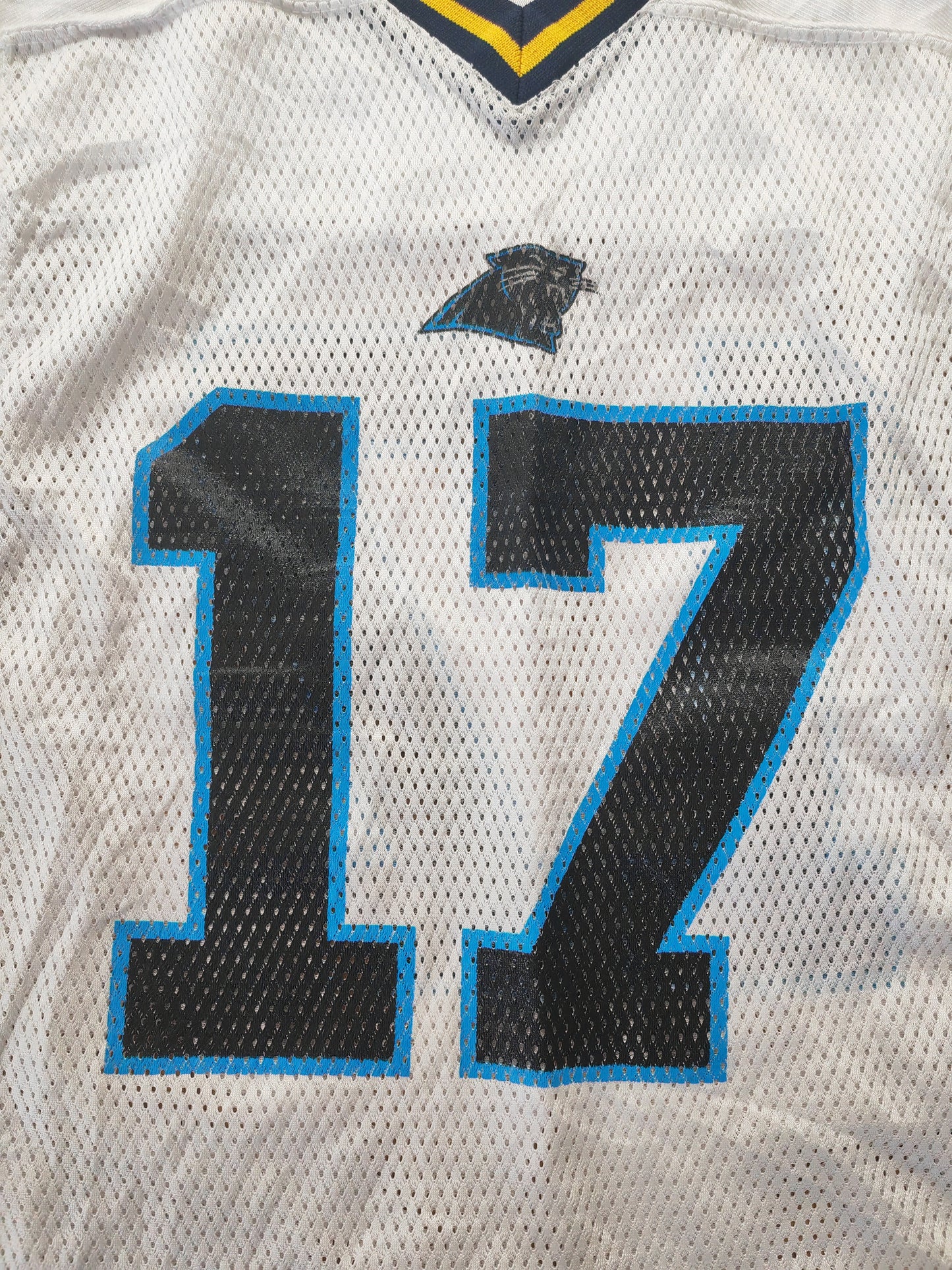 Youth Reebok Carolina Panthers NFL Super Bowl Jersey, #17 Delhomme, Auto,Size YM