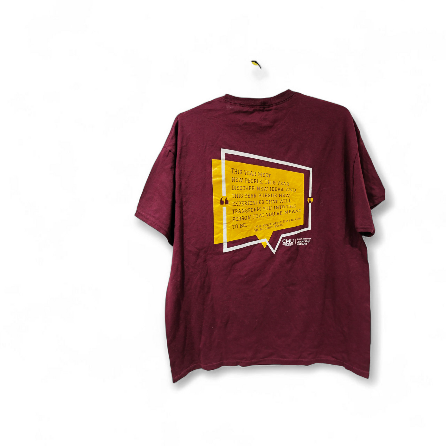 Hanes 2018 Leadership Safari Shirt Sleeve T Shirt, Burgundy, Size Large