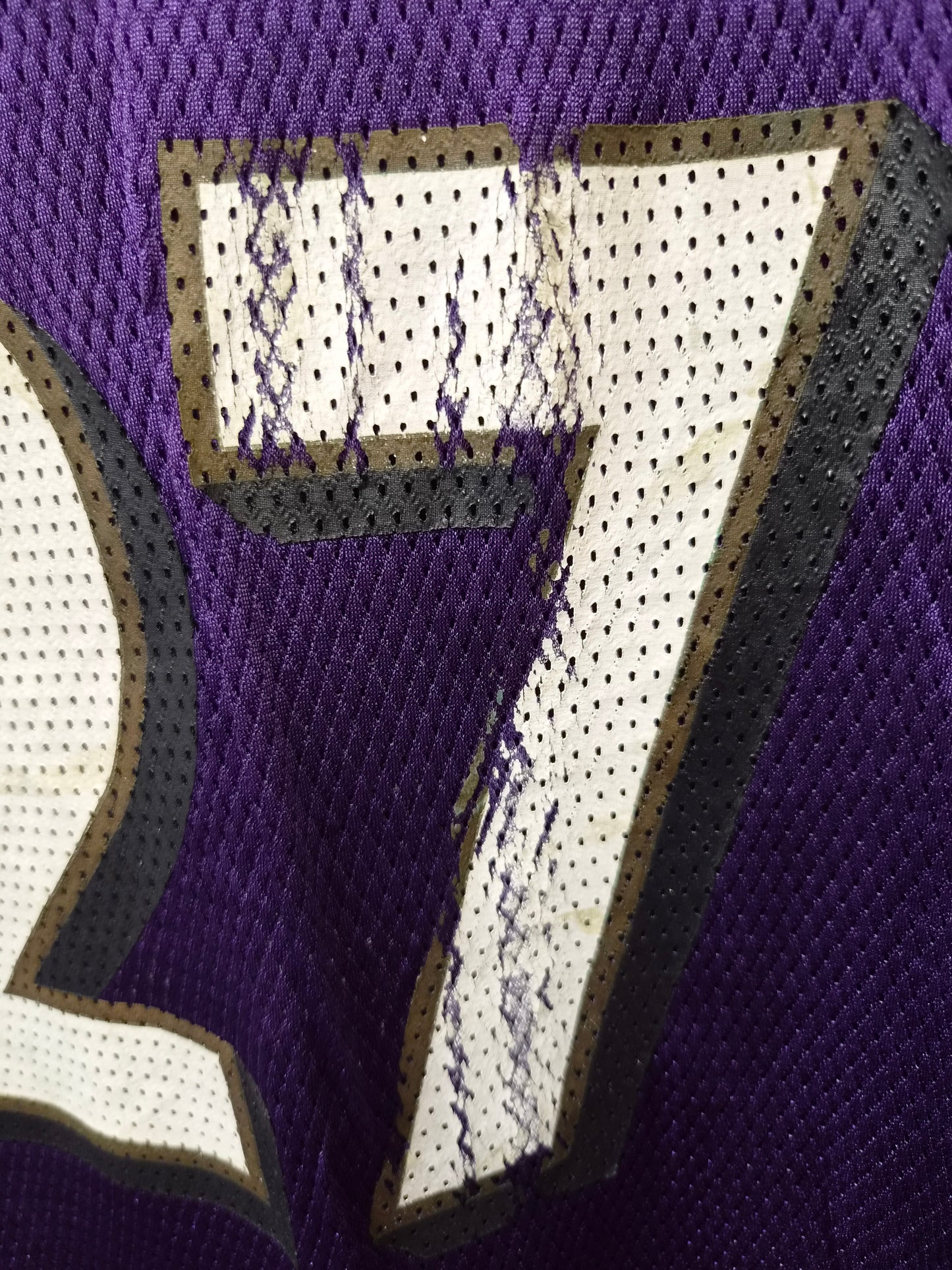Youth Reebok Baltimore Ravens NFL Jersey, #27 Rice, Purple, Size YL