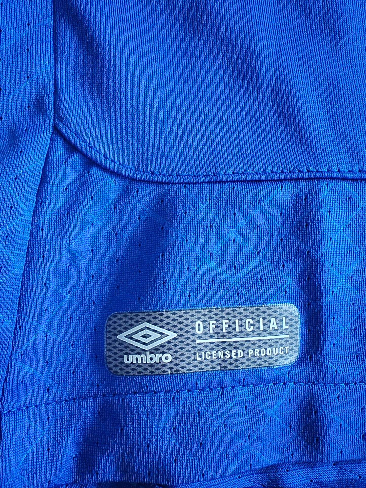 Youth Umbro Everton FC Short Sleeve Football Shirt, Blue, Size YM