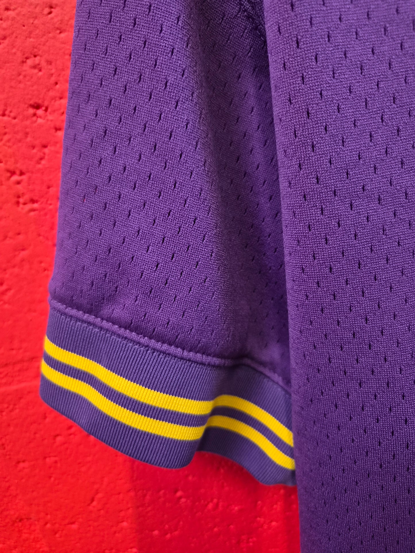 Mitchell & Ness Los Angeles Lakers Short Sleeve Jersey Style T Shirt, Purple, Large