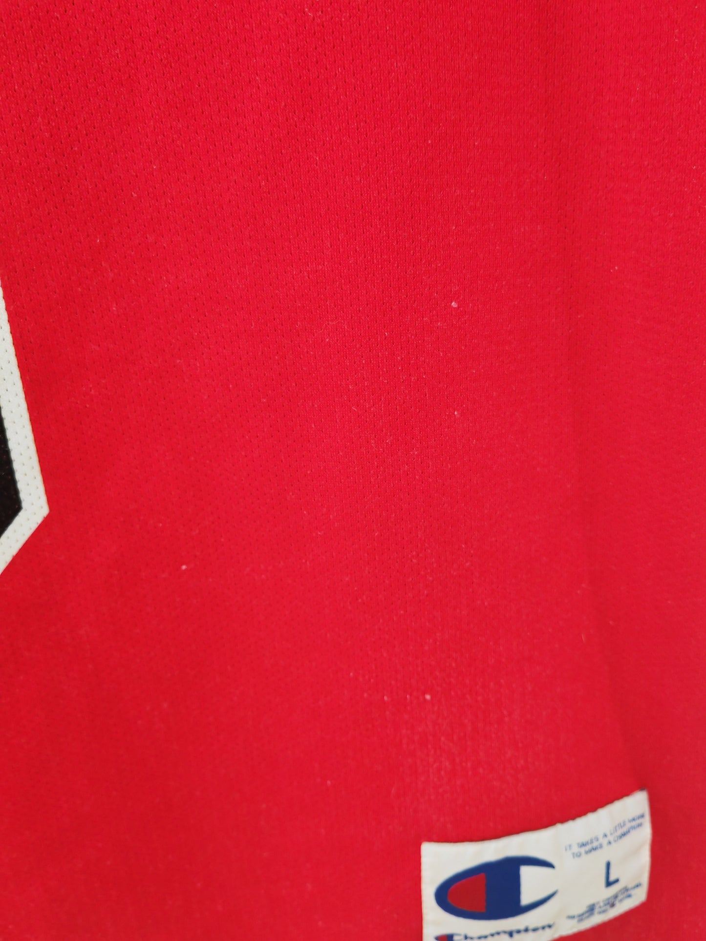Champion Chicago Bulls NBA Jersey, #9 Deng, Red, Size Large