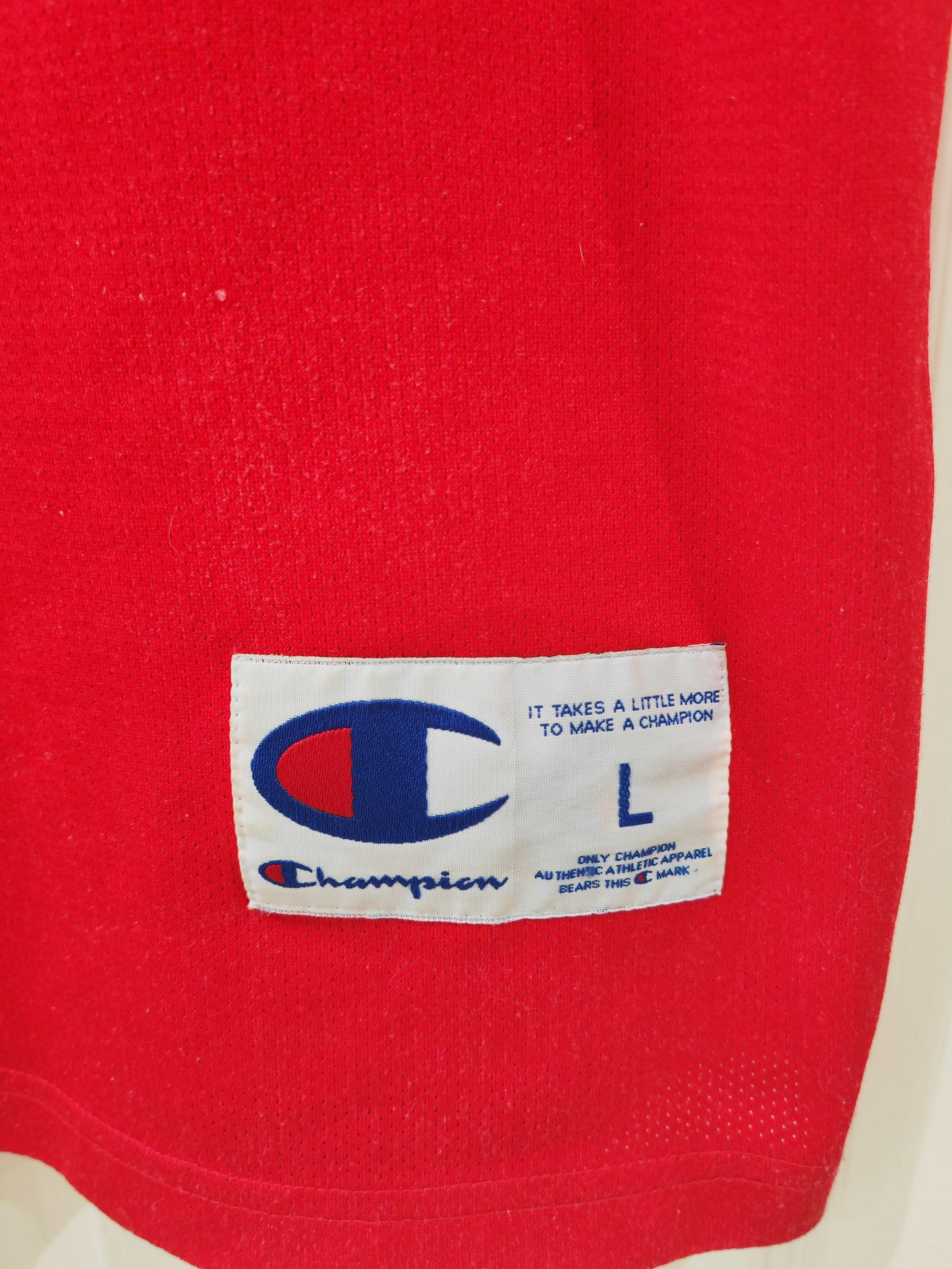 Champion Chicago Bulls NBA Jersey, #9 Deng, Red, Size Large
