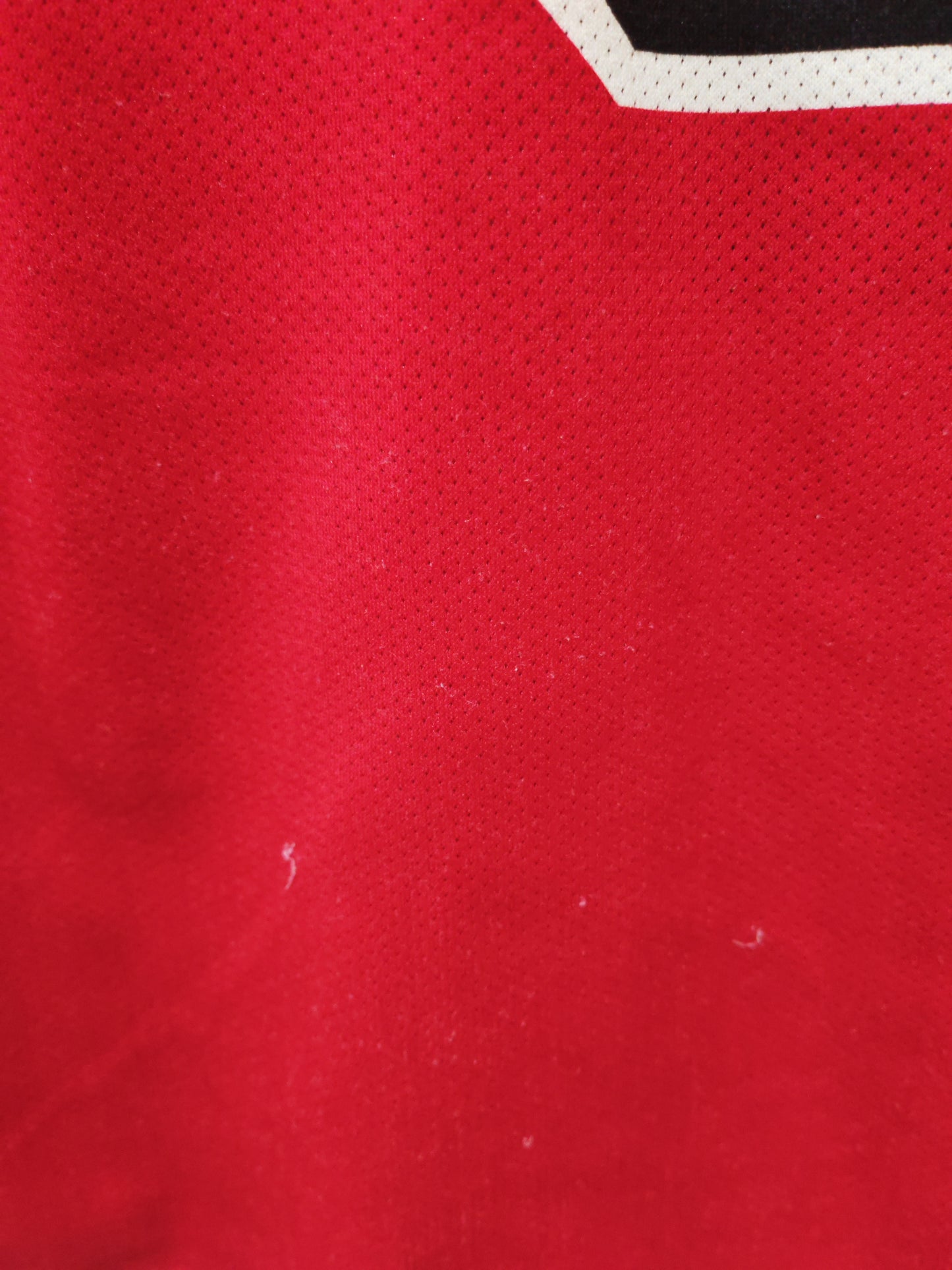 Champion Chicago Bulls NBA Jersey, #9 Deng, Red, Size Large