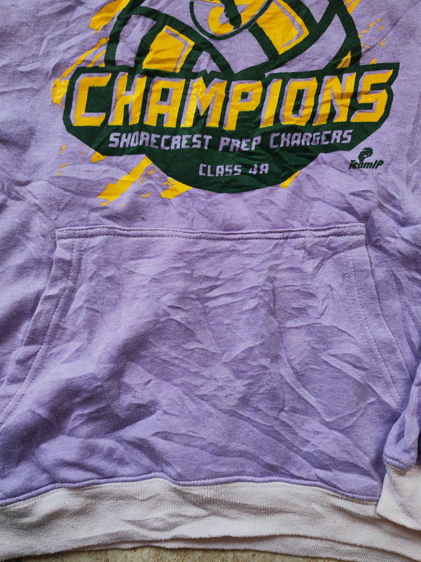 Dynasty Sportswear FHSAA Athletics Champions Pullover Hoodie, Purple, Size Medium