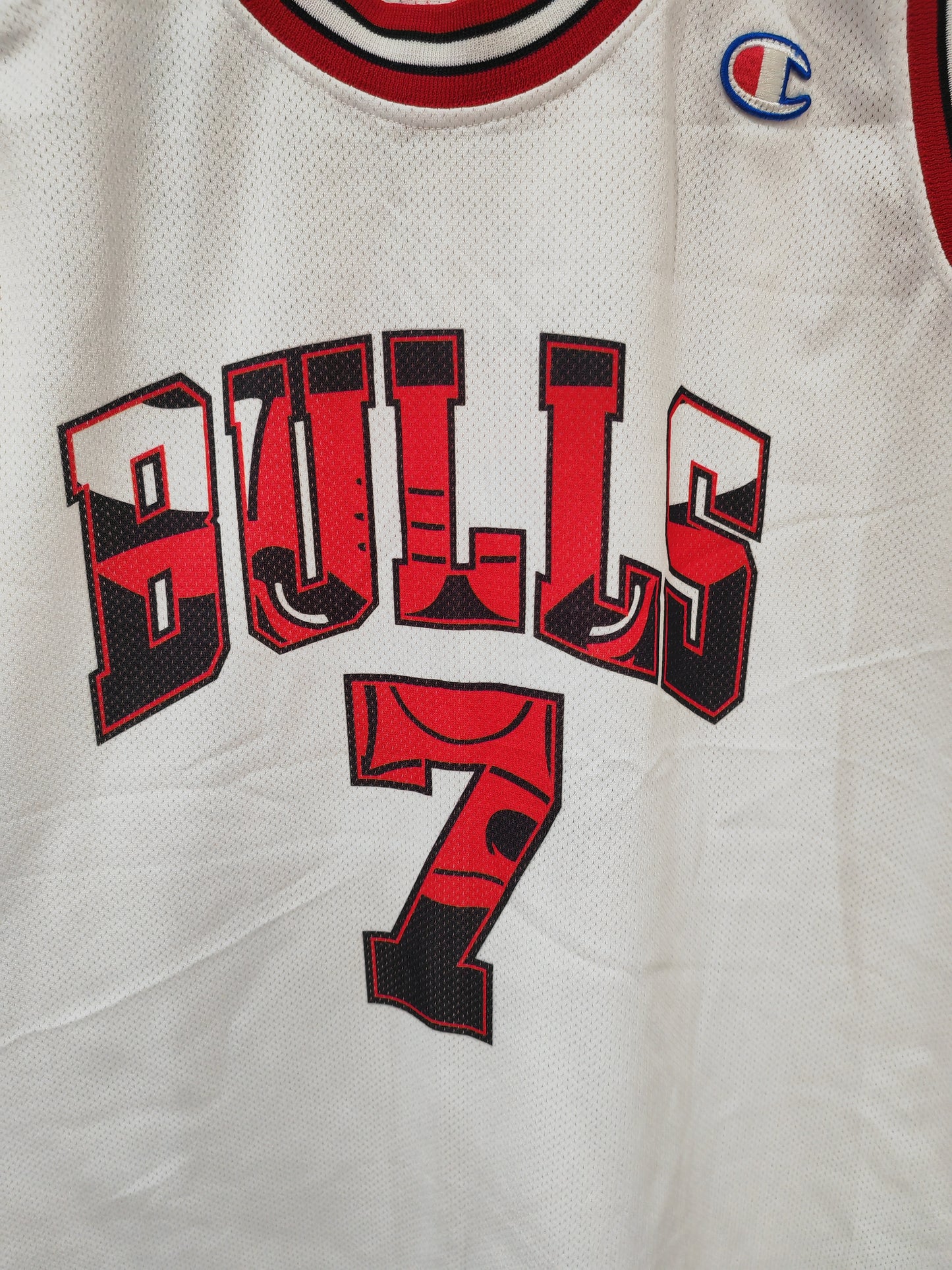 Champion Chicago Bulls NBA Jersey, #7 Gordon, White, Size XXL
