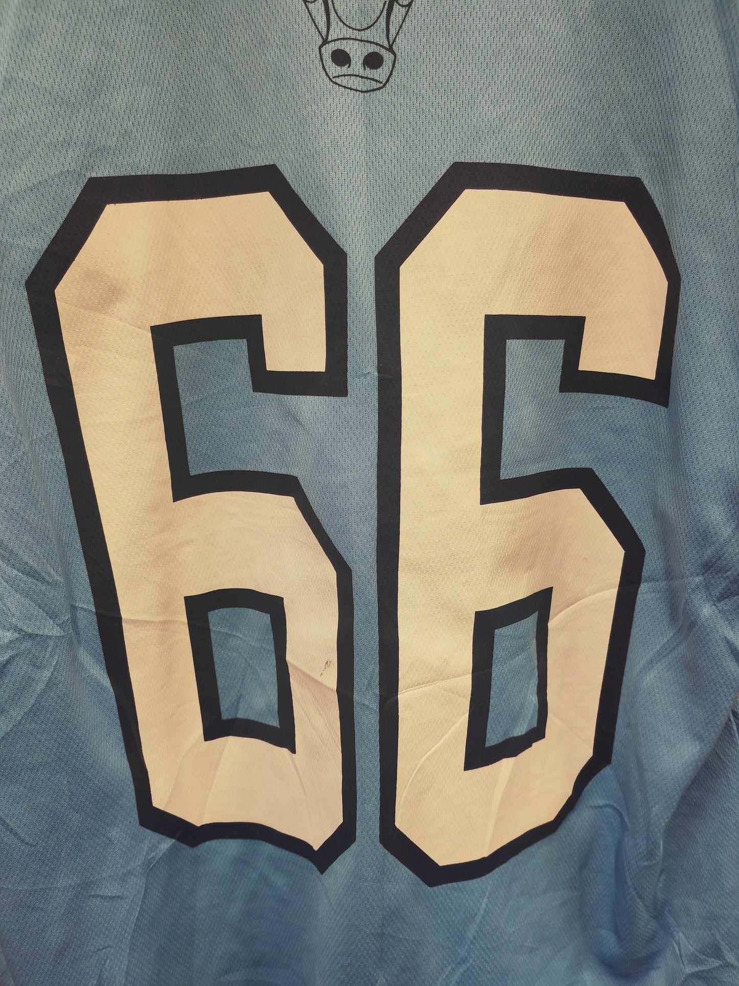 NBA Chicago Bulls Baseball Style T Shirt/Jersey, #66, Blue, Size Medium
