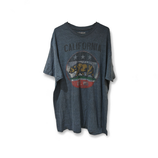 Fifth Sun California Bear T Shirt, Grey, Size XL