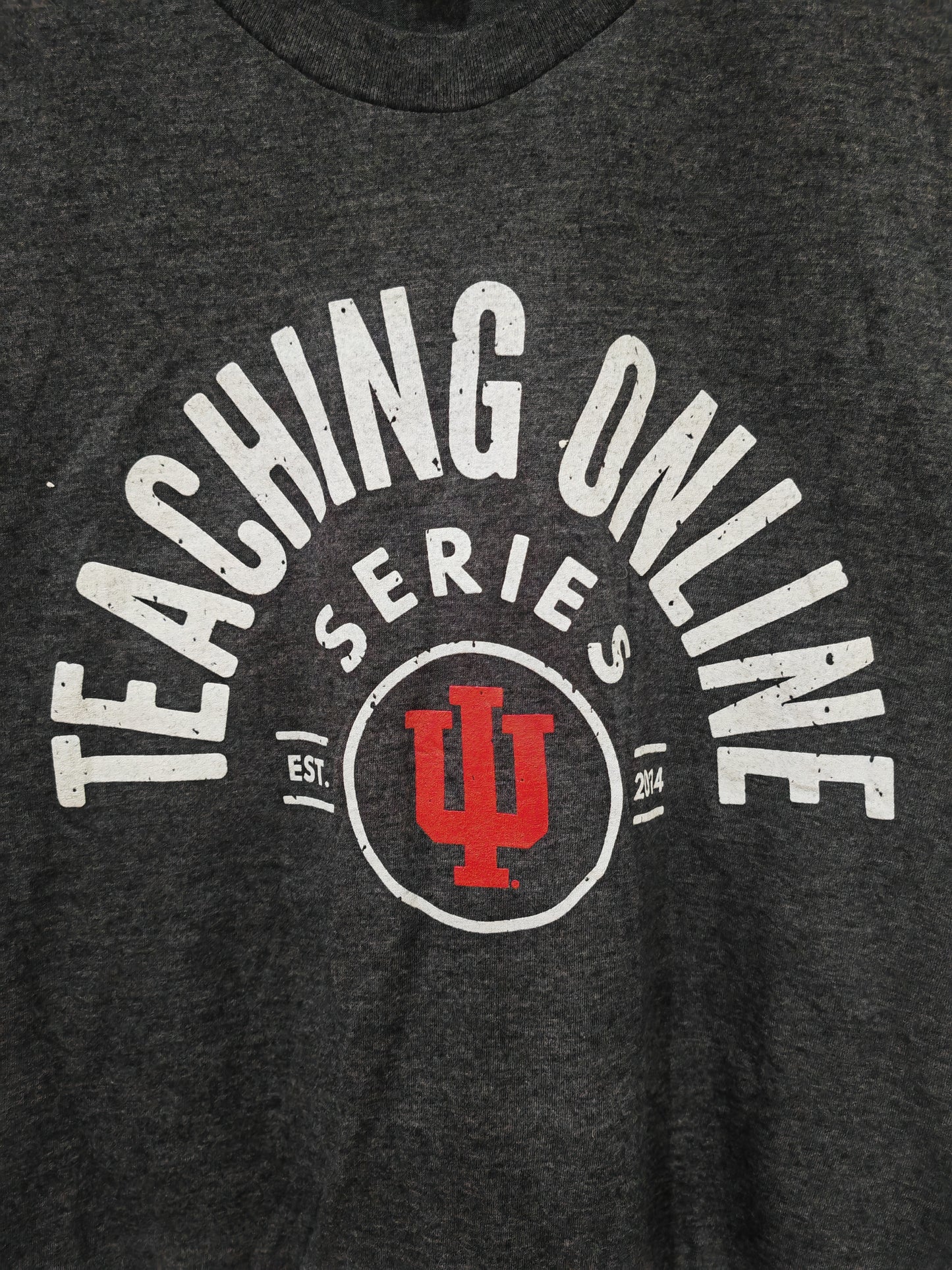Bella Canvas Indiana University Teaching Online Series Short Sleeve T Shirt, Small
