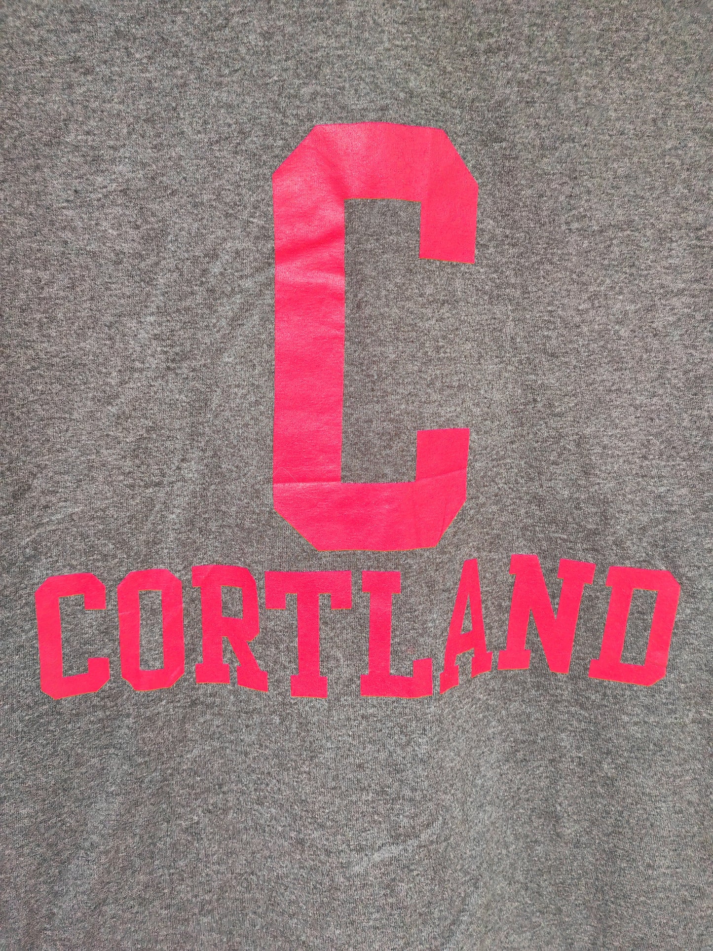 TCX Apparel Cortland University Shirt Sleeve T Shirt, Grey, Size Small
