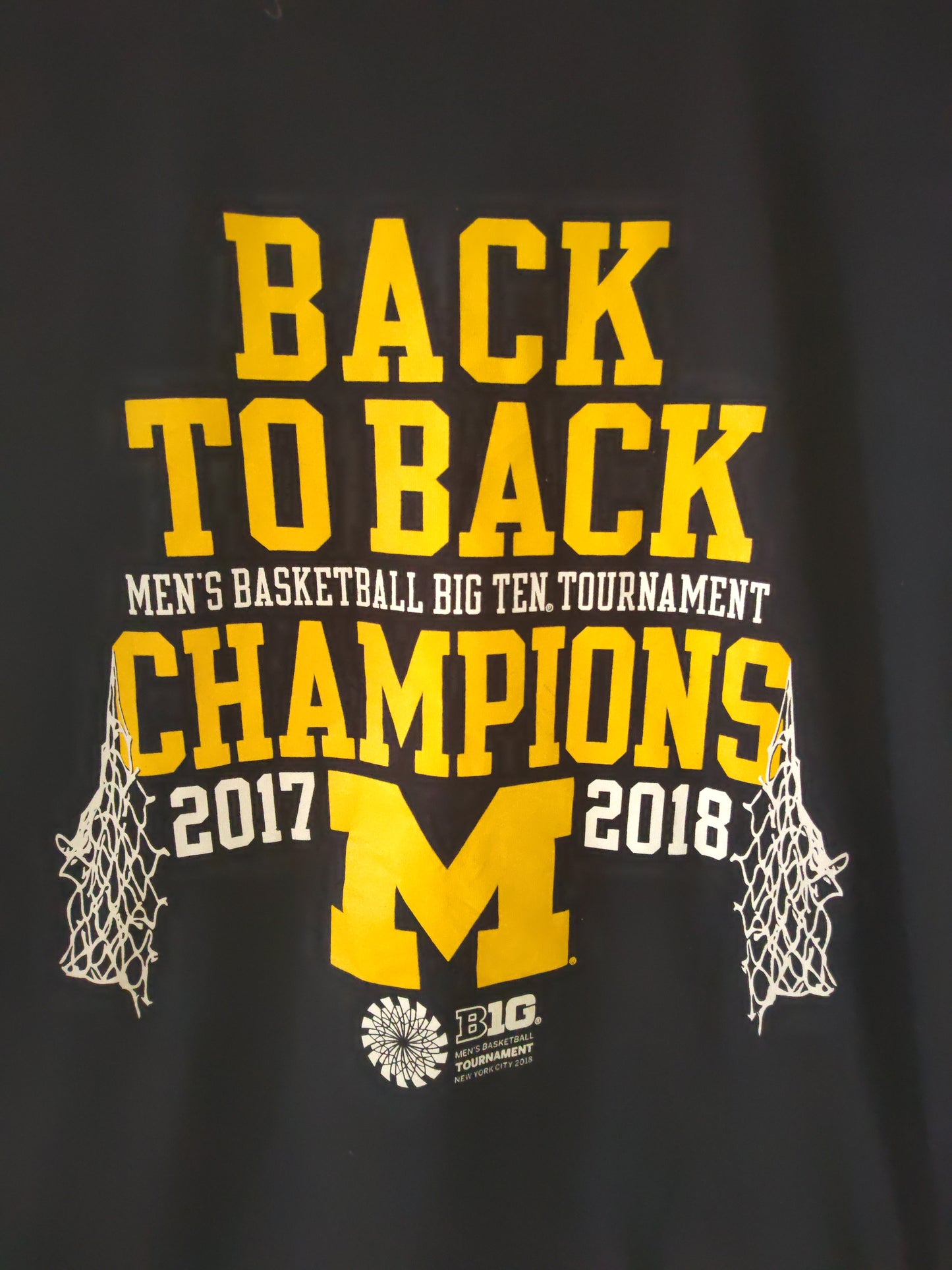 Champion Michigan Wolverines Big 10 Champions T Shirt, Navy Blue, Size Large