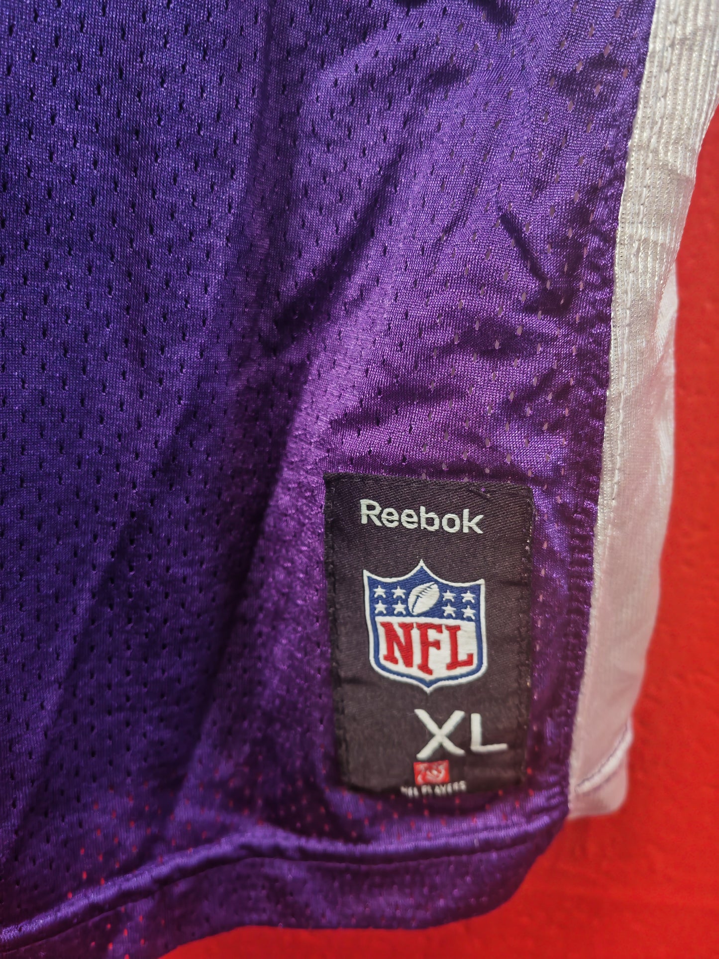 Youth Reebok Minnesota Vikings NFL Jersey, #4 Favre, Purple, Size YXL