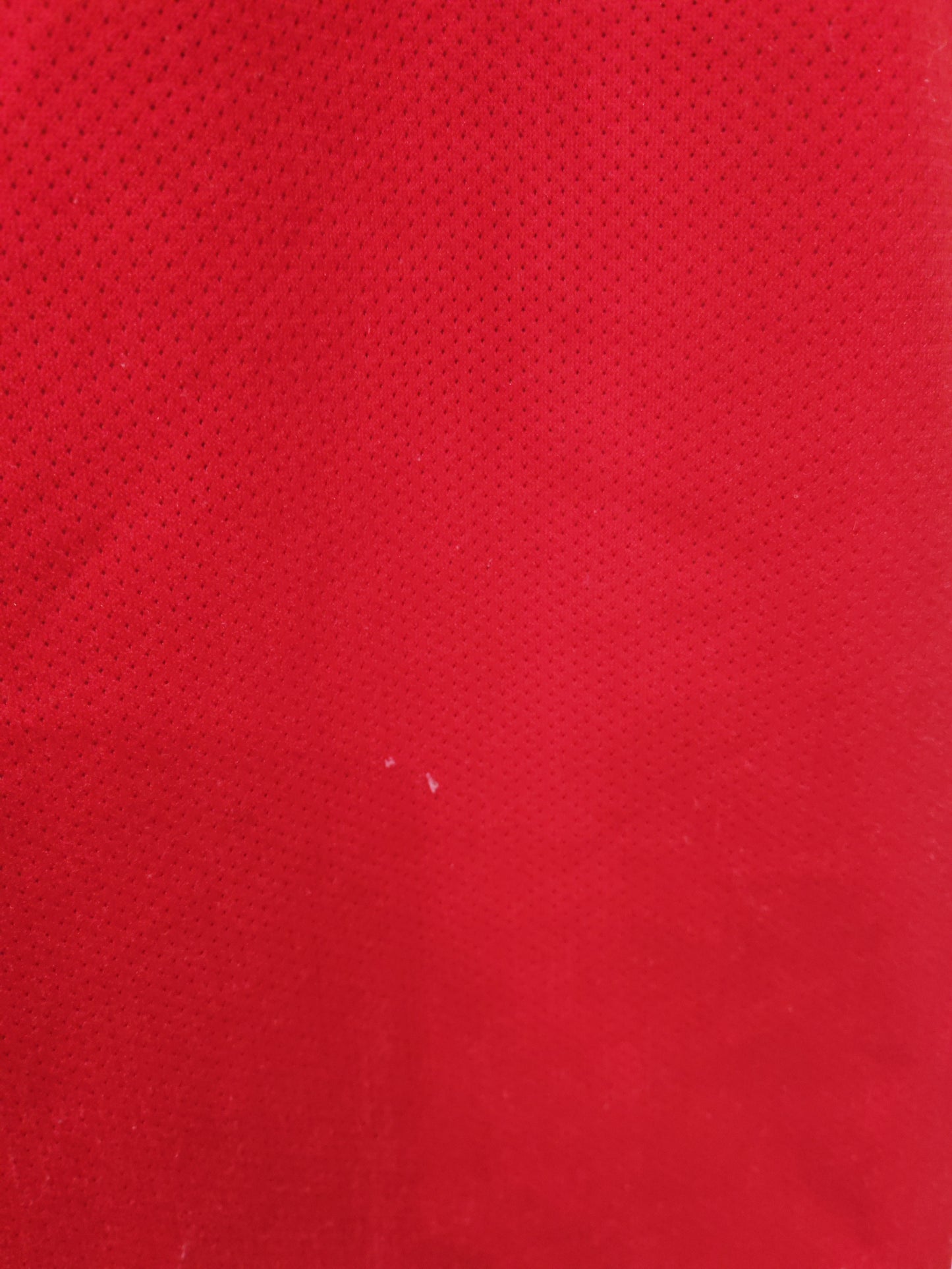 Champion Chicago Bulls NBA Jersey, #9 Deng, Red, Size Large