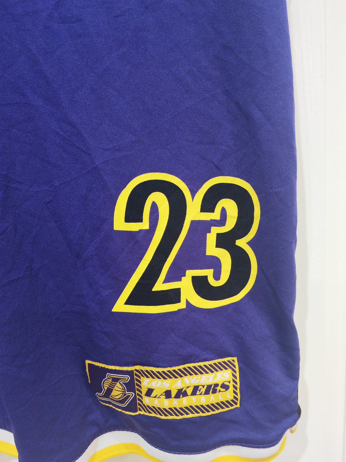 NBA Los Angeles Lakers NBA Vest, #23 James, Purple/Black, Size Medium