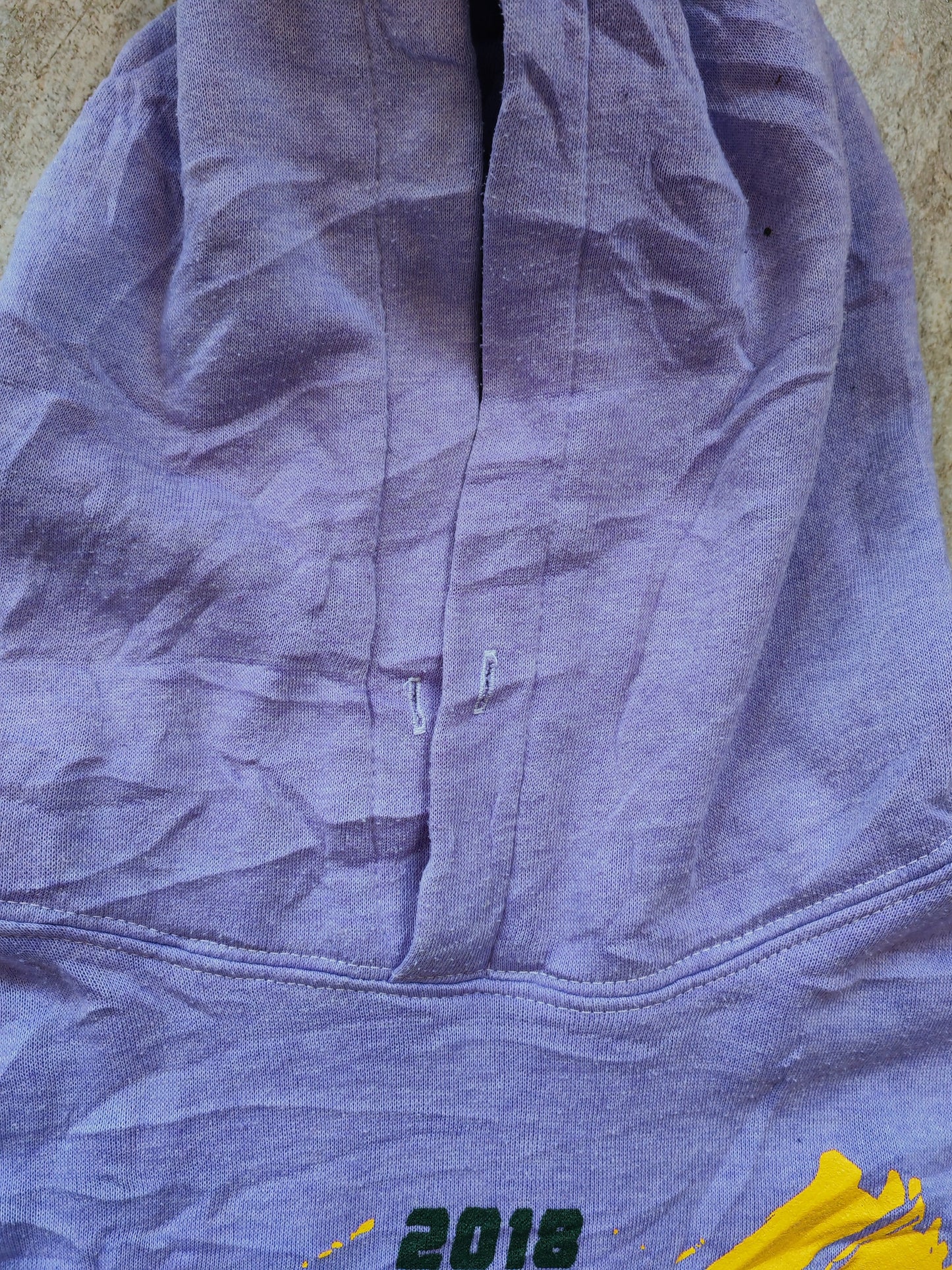 Dynasty Sportswear FHSAA Athletics Champions Pullover Hoodie, Purple, Size Medium