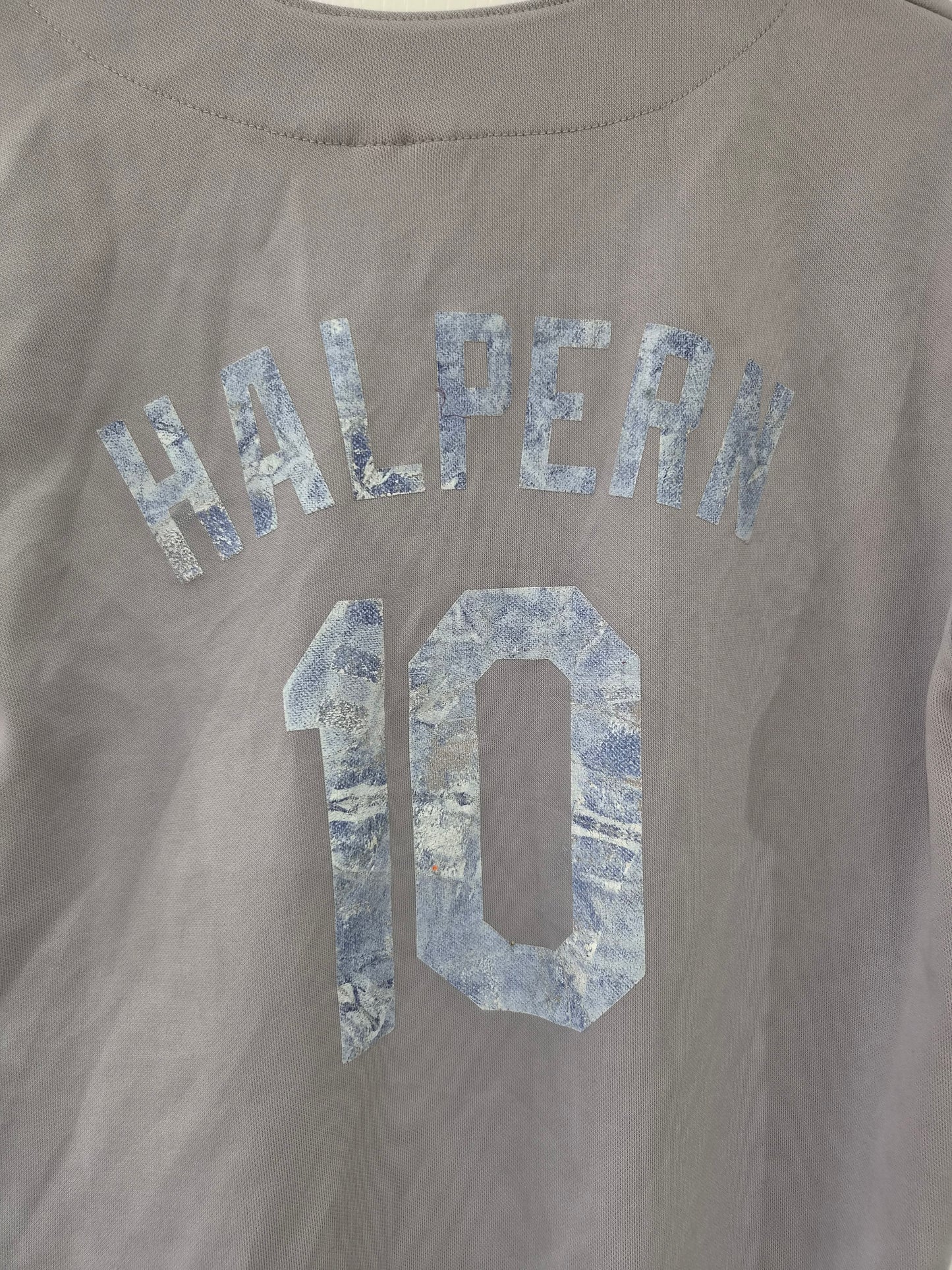 Youth Majestic Los Angeles Dodgers MLB Jersey, #10 Halpern, Grey, Size YM/L