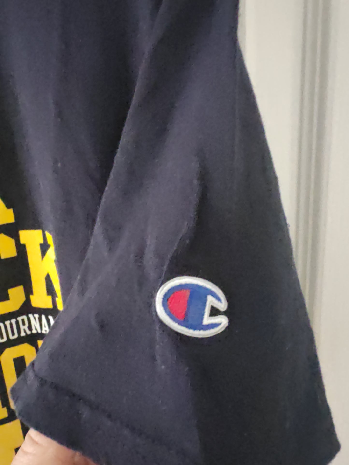 Champion Michigan Wolverines Big 10 Champions T Shirt, Navy Blue, Size Large