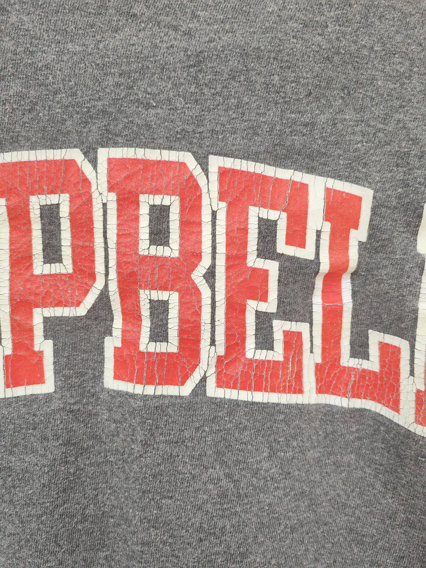 Champion Campbell Fighting Camels NCAA Shirt Sleeve T Shirt, Grey, Size Small