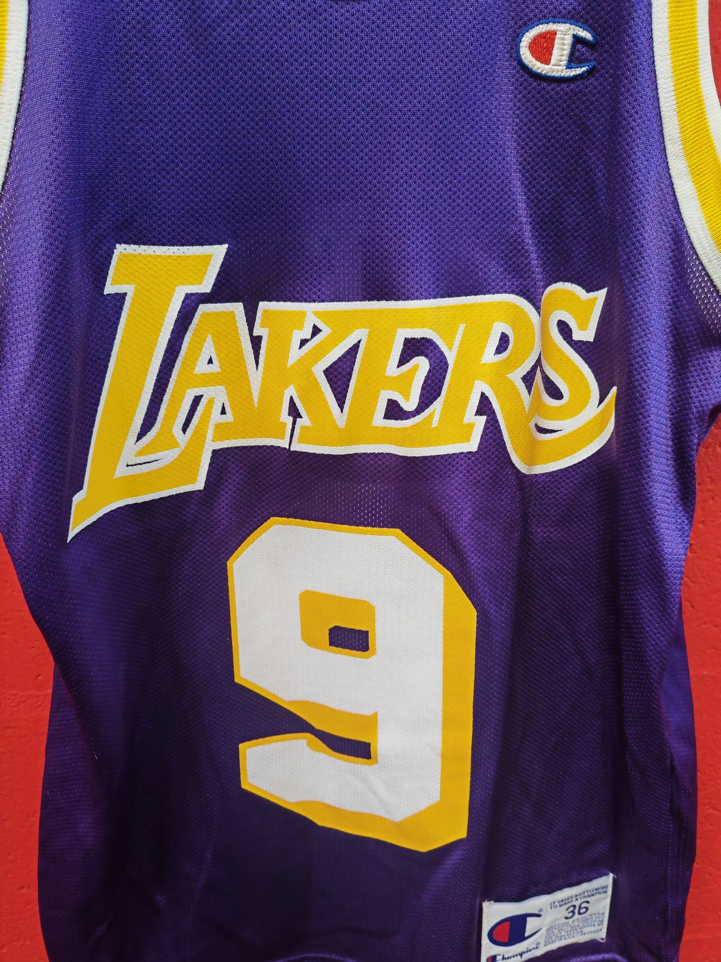 Champion Los Angeles Lakers NBA Jersey, #9 Van Exel, Purple, Size 36 XS/S